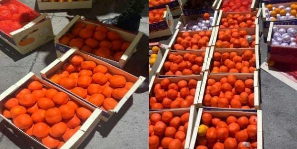 Déjouer une tentative de contrebande de plus de quatre tonnes de haschisch au port de Tanger Med